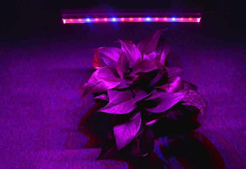 5730 SMD LED bulb 85 265V LED Grow light 25W lamp 220V 110V EU plug switch LED tube bar light for Plant Growing Hydroponics