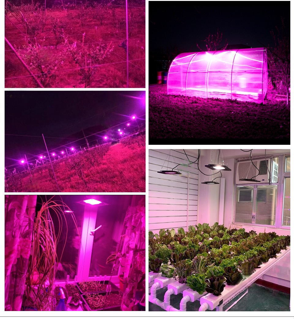 Phyto lamp Phytolamp for plants 100W 150W Full spectrum LED Grow Lihgt IP65 Waterproof Flower Fitolamp Indoor Seedling Fitolampy