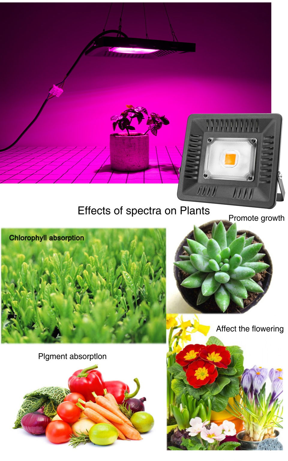 LED Flood Light 50W 100W 150W AC110V 220V LED Reflector Lamp Garden Lamp Cold Warm White UV Grow Light Professional Lighting