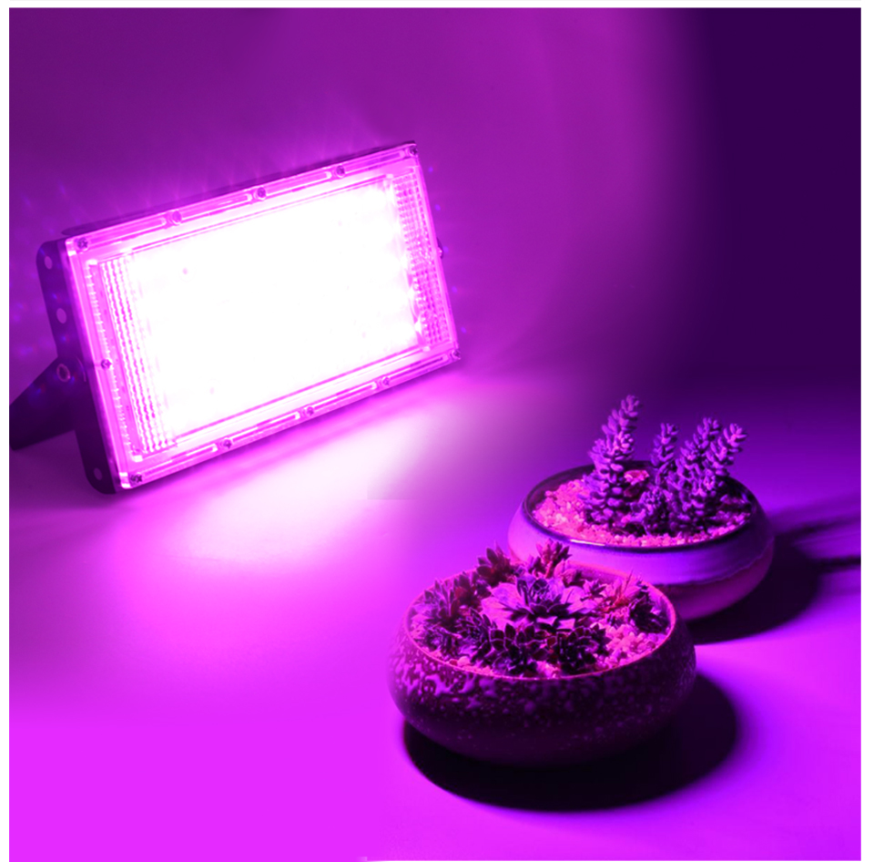 Led FloodLight 50W AC 220V-240V Waterproof IP65 Flood light Outdoor Spotlight Led Projector exterieur Spotlight