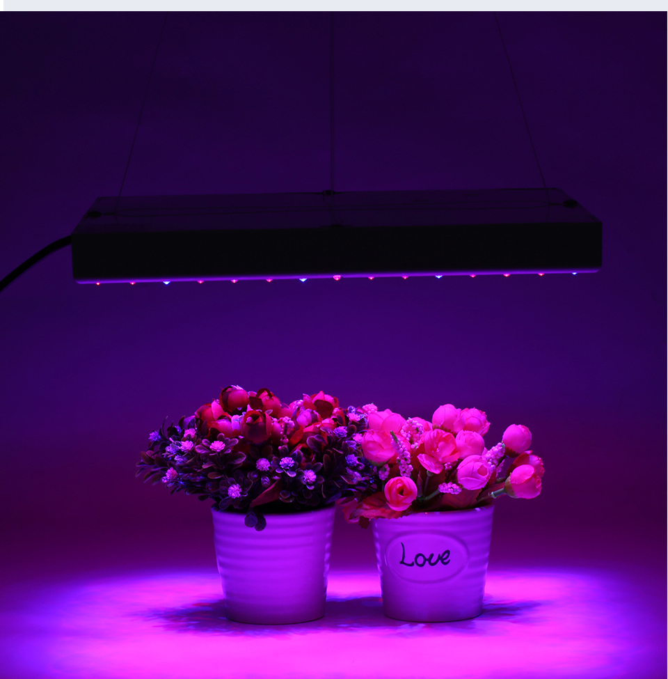 Led FloodLight 50W AC 220V-240V Waterproof IP65 Flood light Outdoor Spotlight Led Projector exterieur Spotlight