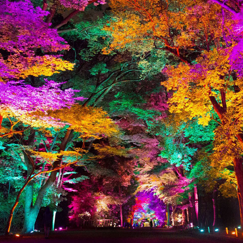 RGB LED Floodlight 10W 30W 50W Foco LED Spotlight IP66 Waterproof Outdoor Refletor Led Flood Light with Remote Controller 220V