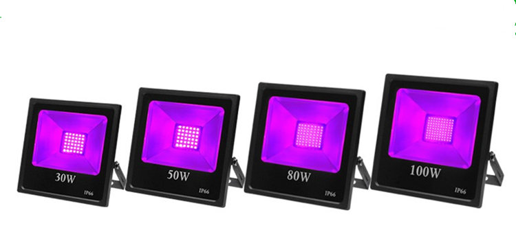 30W-100W US UK EU plug LED Flood Light Waterproof AC85-265V Purple DJ Disco Nightclub KTV Festival Party Stage Lighting Effect