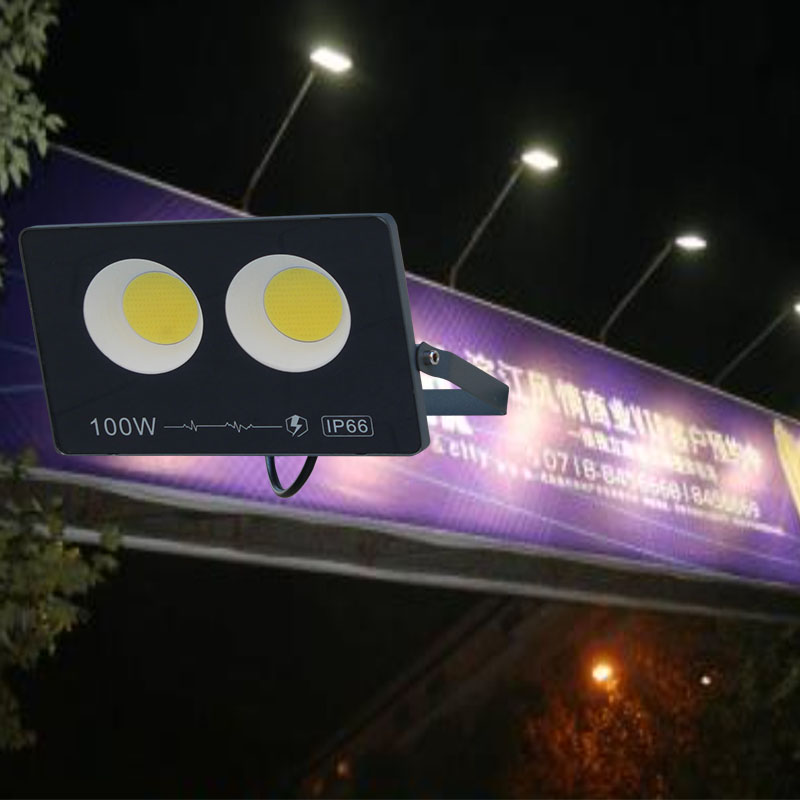 LED Flood Light 110V/220V Outdoor Led Flood Light with 180degree Adjustable Bracket 6000K for Garage Garden Lawn and Yard.