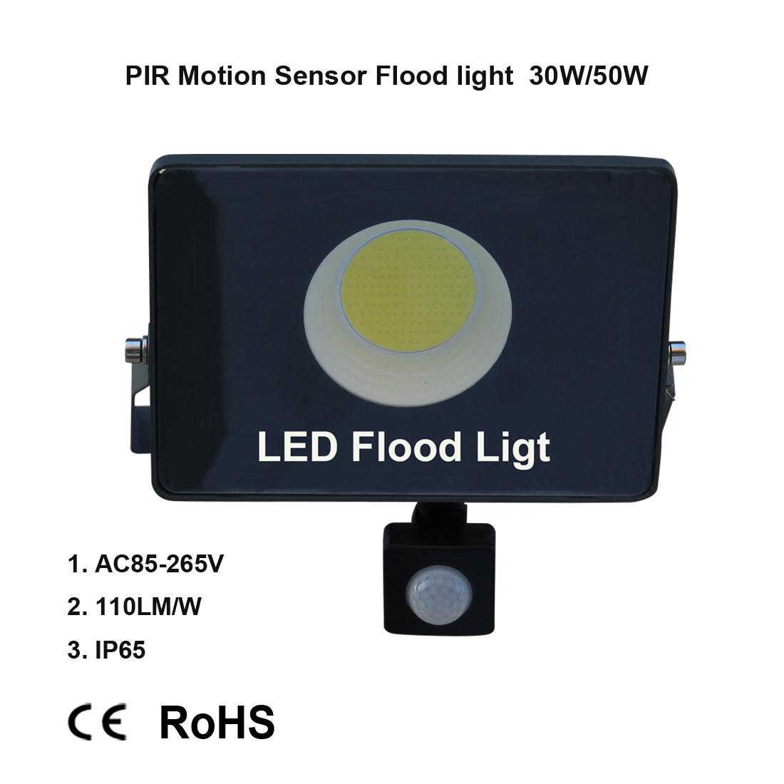 LED Induction lamp Flood light PIR motion sensor indoor and outdoor lighting decorative lighting home street garden 30W 50W 100W