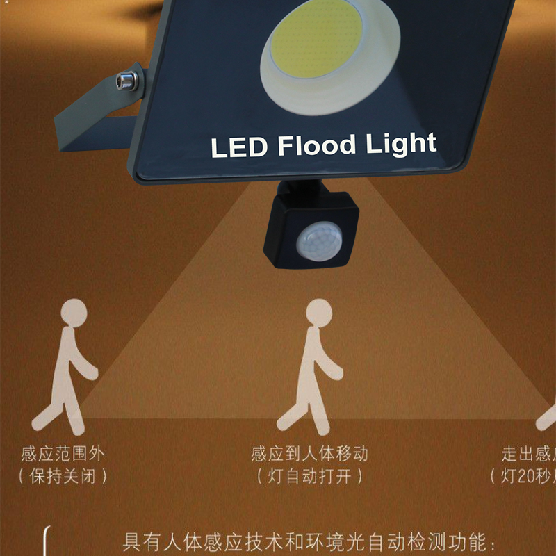 LED Induction lamp Flood light PIR motion sensor indoor and outdoor lighting decorative lighting home street garden 30W 50W 100W