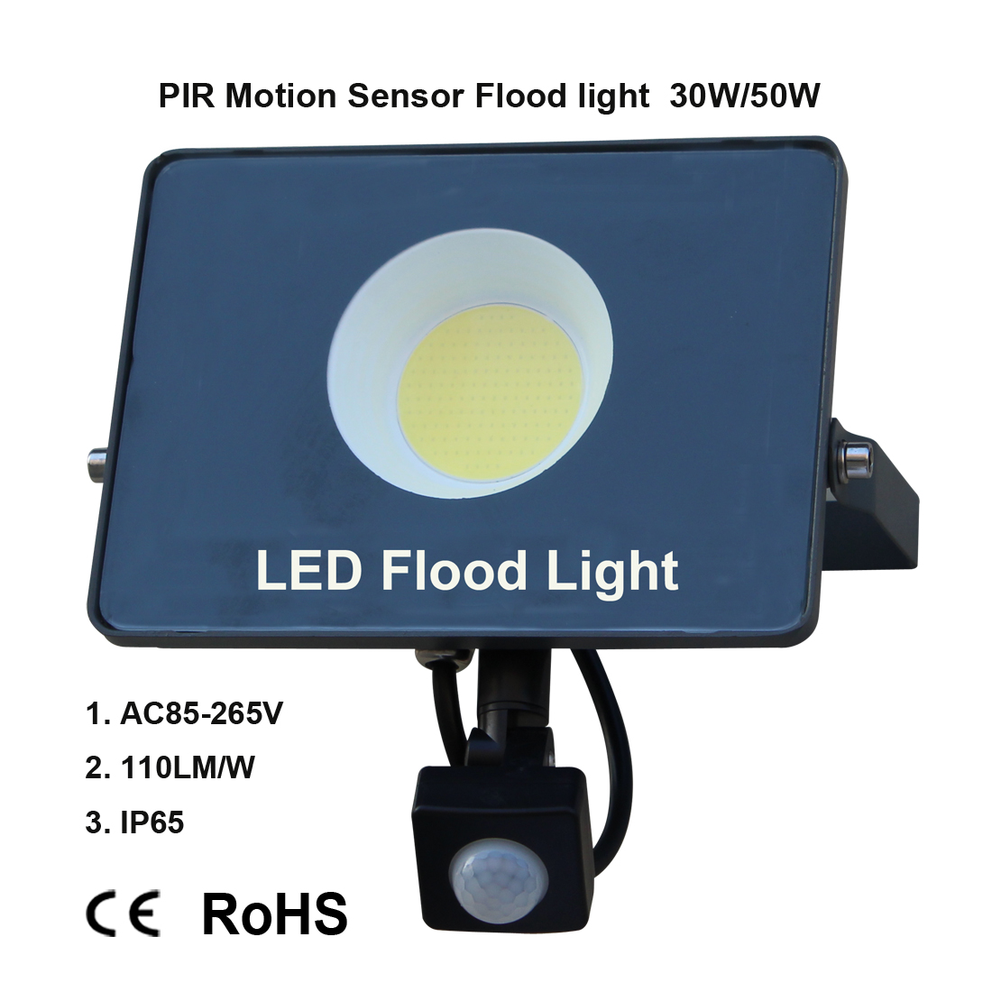 LED Induction lamp Flood light PIR motion sensor indoor and outdoor lighting decorative lighting home street garden 30W 50W 100W