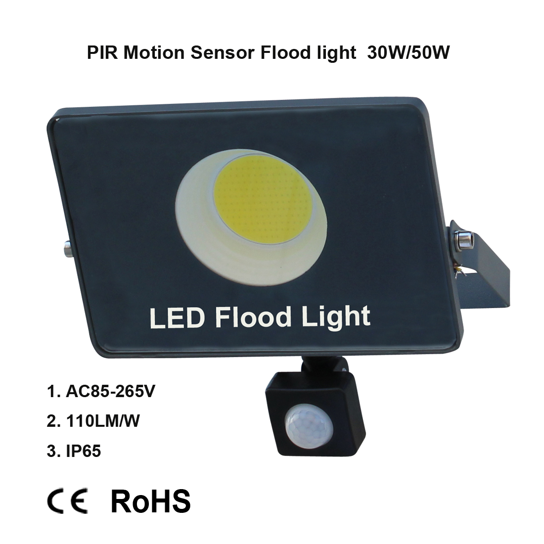 LED Induction lamp Flood light PIR motion sensor indoor and outdoor lighting decorative lighting home street garden 30W 50W 100W