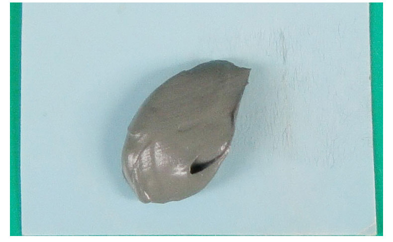 10 Pcs GD66 Thermal Conductive Grease Paste Silicone Plaster Heatsink Compound 10 Pieces Grams High Performance Gray
