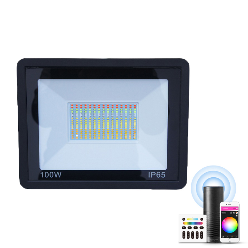 100W Tuya Zigbee 3.0 Smart Floodlight LED RGB Outdoor Waterproof Wall Light Smart Spotlight Garden Landscape Lighting AC 220V