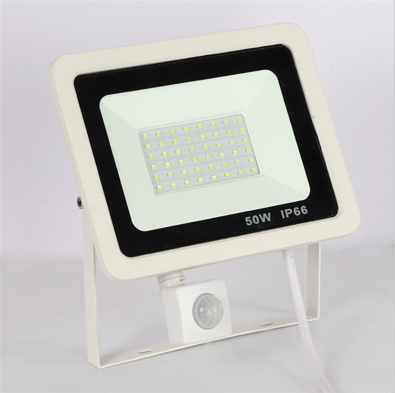 LED Flood light 10W 20W 30W 50W 100W IP66 waterproof Landscape outdoor housing garden Lighting Reflector project floodlight