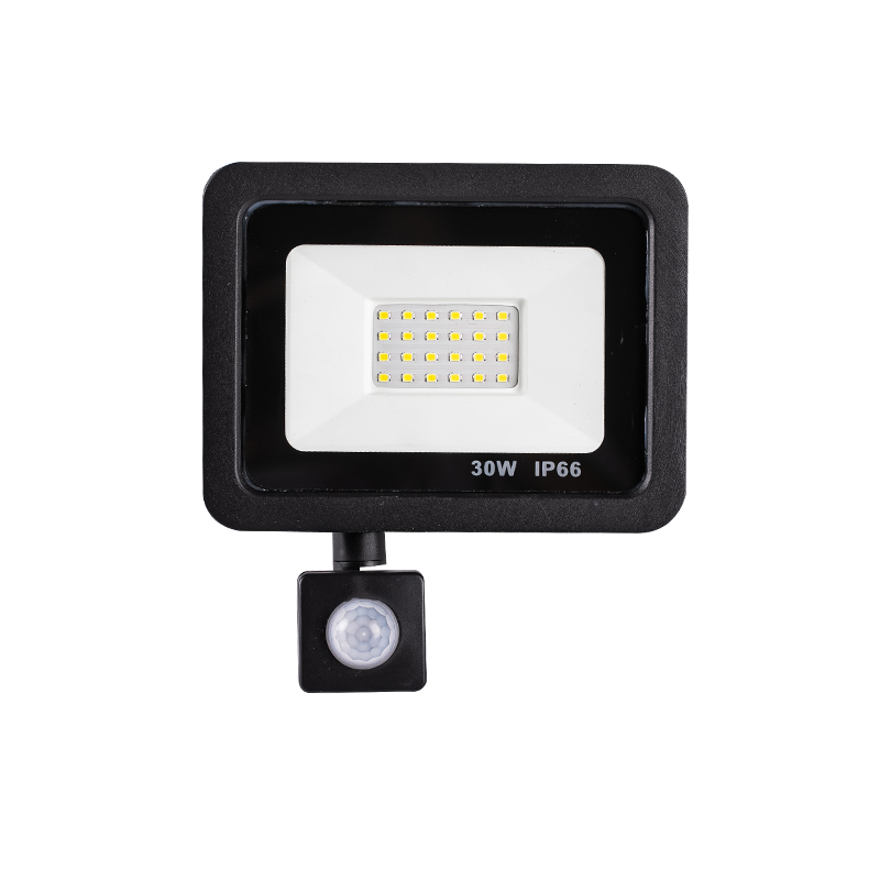 LED Flood light 10W 20W 30W 50W 100W IP66 waterproof Landscape outdoor housing garden Lighting Reflector project floodlight