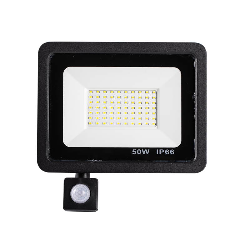 LED Flood light 10W 20W 30W 50W 100W IP66 waterproof Landscape outdoor housing garden Lighting Reflector project floodlight