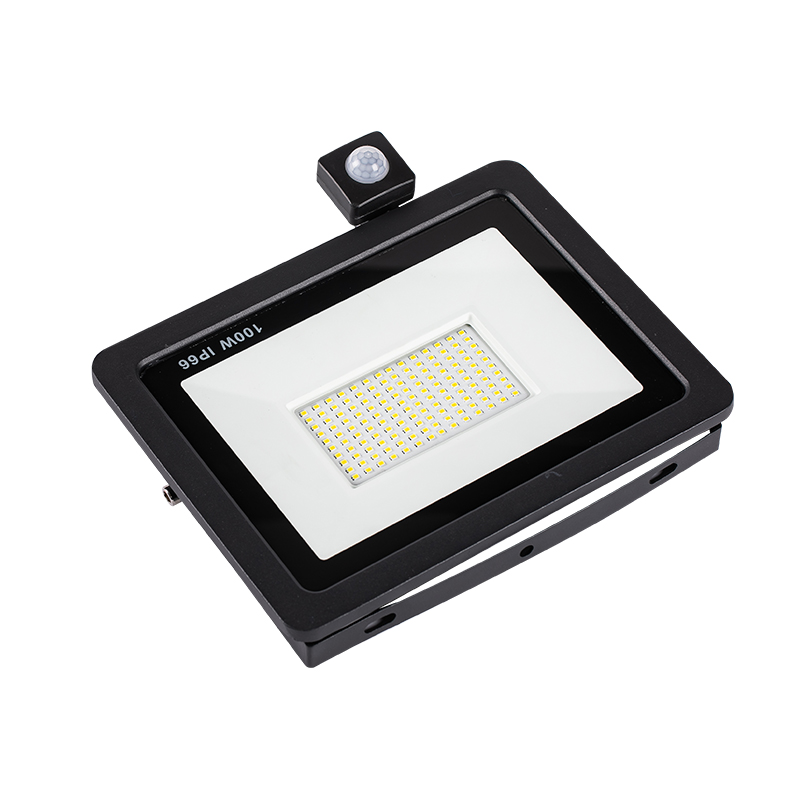 LED Flood light 10W 20W 30W 50W 100W IP66 waterproof Landscape outdoor housing garden Lighting Reflector project floodlight