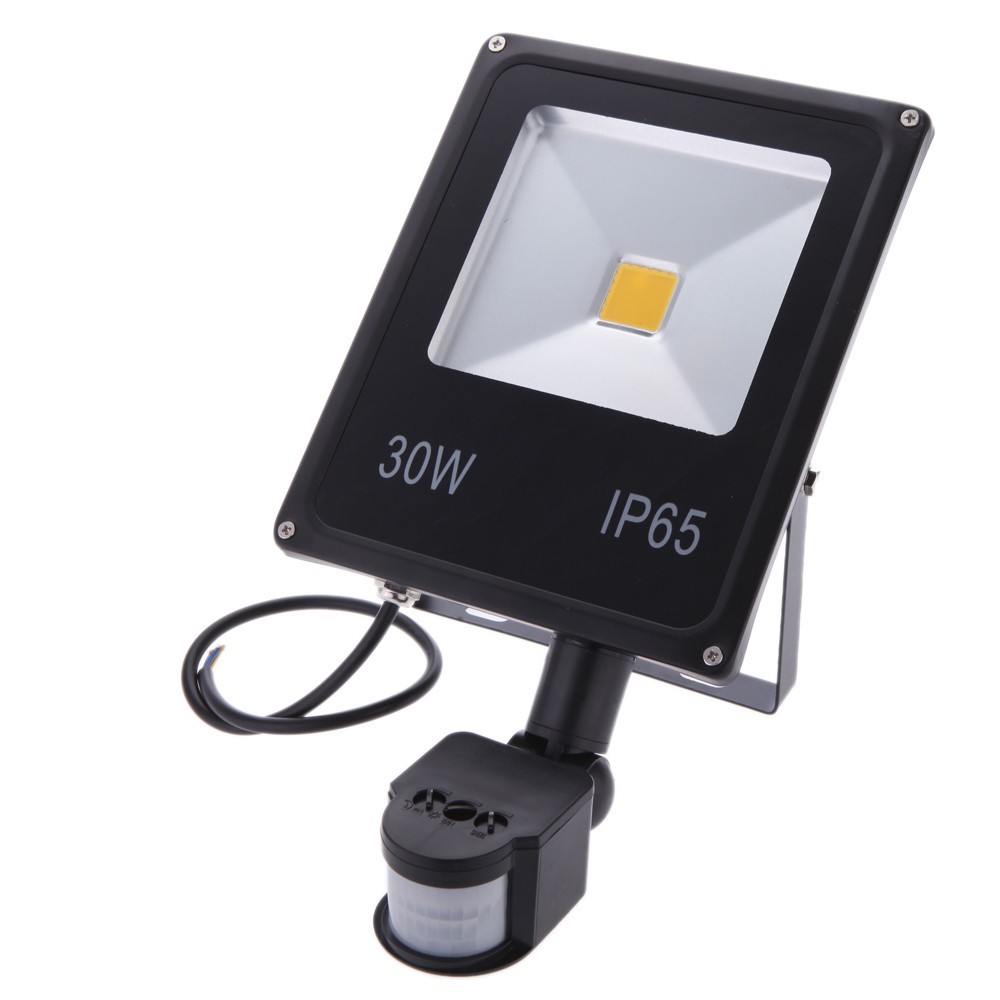 Outdoor 10W 20W 30W 50W PIR Projection Lamp 220V 240V 100W Led Floodlight with Motion detective Sensor for Gargen Wall Lamp