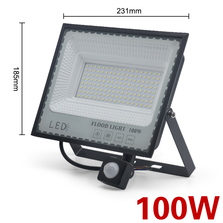 LED Induction Floodlights PIR Motion Sensor 30W 50W 100W 220V Cold White Waterproof IP66 Outdoor Rainproof Lighting