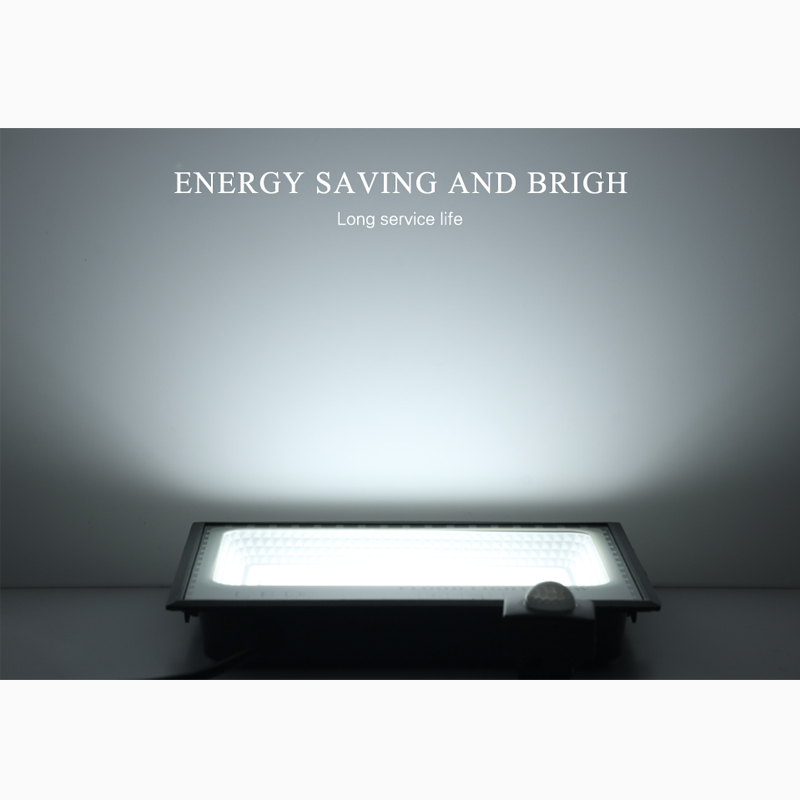 LED Induction Floodlights PIR Motion Sensor 30W 50W 100W 220V Cold White Waterproof IP66 Outdoor Rainproof Lighting