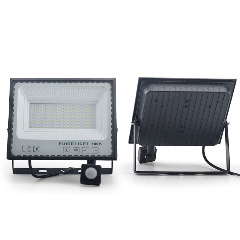 LED Induction Floodlights PIR Motion Sensor 30W 50W 100W 220V Cold White Waterproof IP66 Outdoor Rainproof Lighting