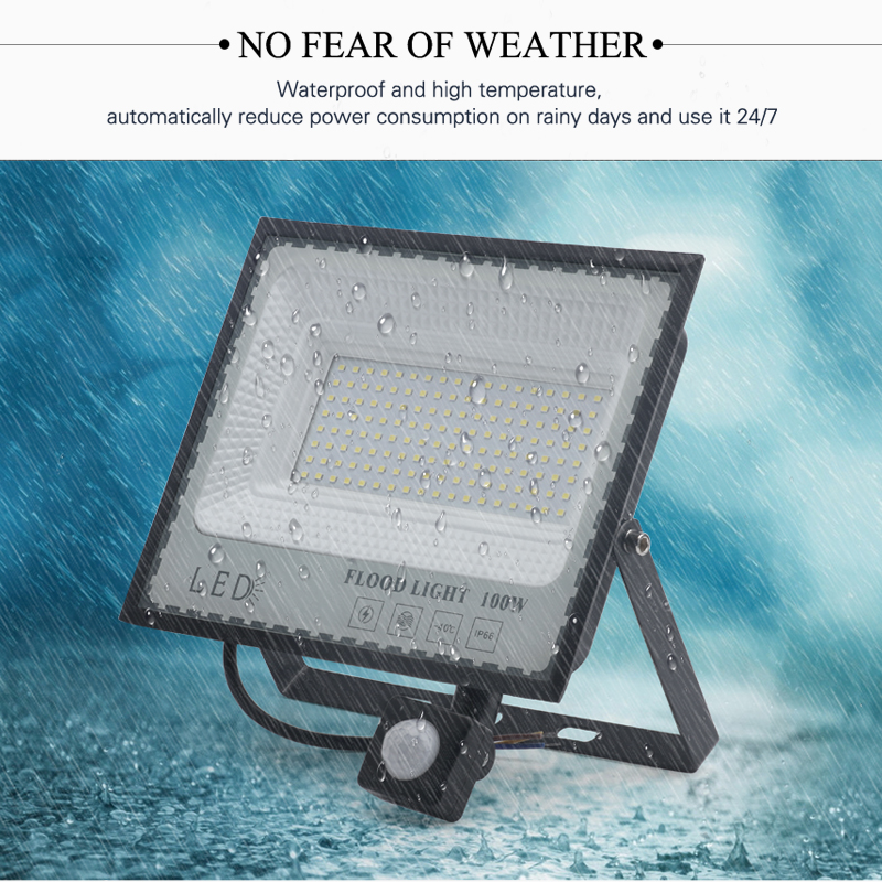 LED Induction Floodlights PIR Motion Sensor 30W 50W 100W 220V Cold White Waterproof IP66 Outdoor Rainproof Lighting