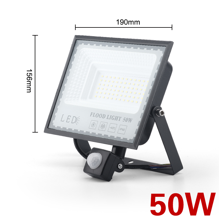 LED Induction Floodlights PIR Motion Sensor 30W 50W 100W 220V Cold White Waterproof IP66 Outdoor Rainproof Lighting