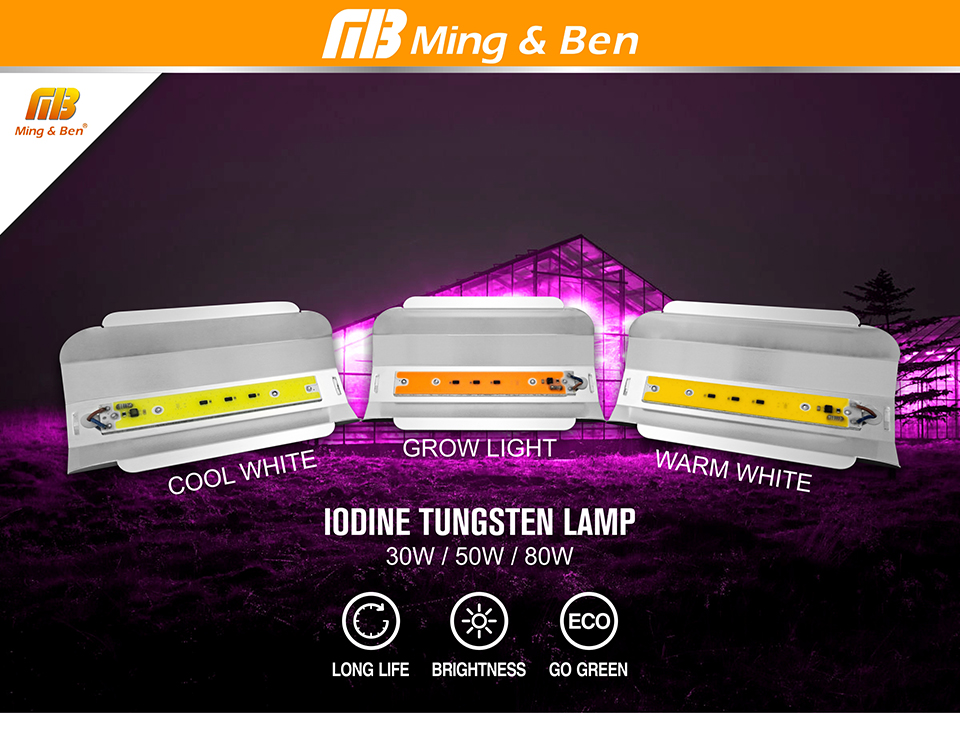 Led Full Spectrum Grow Lamp 380-780nm 30W 50W 80W 100W 220V Outdoor Phyto Light Growth Floodlight For Plant Greenhouse Seeding