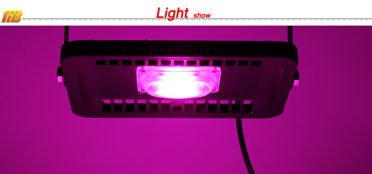 Led Full Spectrum Grow Lamp 380-780nm 30W 50W 80W 100W 220V Outdoor Phyto Light Growth Floodlight For Plant Greenhouse Seeding