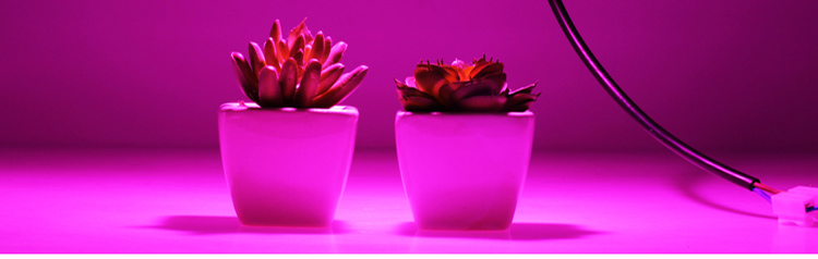 Led Full Spectrum Grow Lamp 380-780nm 30W 50W 80W 100W 220V Outdoor Phyto Light Growth Floodlight For Plant Greenhouse Seeding