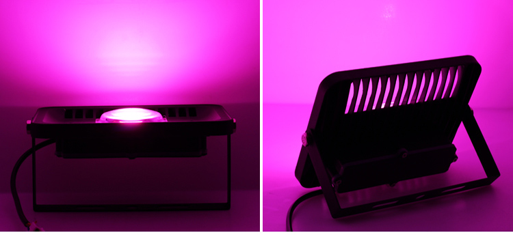 Led Full Spectrum Grow Lamp 380-780nm 30W 50W 80W 100W 220V Outdoor Phyto Light Growth Floodlight For Plant Greenhouse Seeding