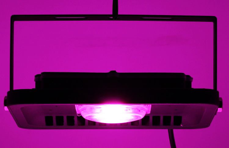 Led Full Spectrum Grow Lamp 380-780nm 30W 50W 80W 100W 220V Outdoor Phyto Light Growth Floodlight For Plant Greenhouse Seeding