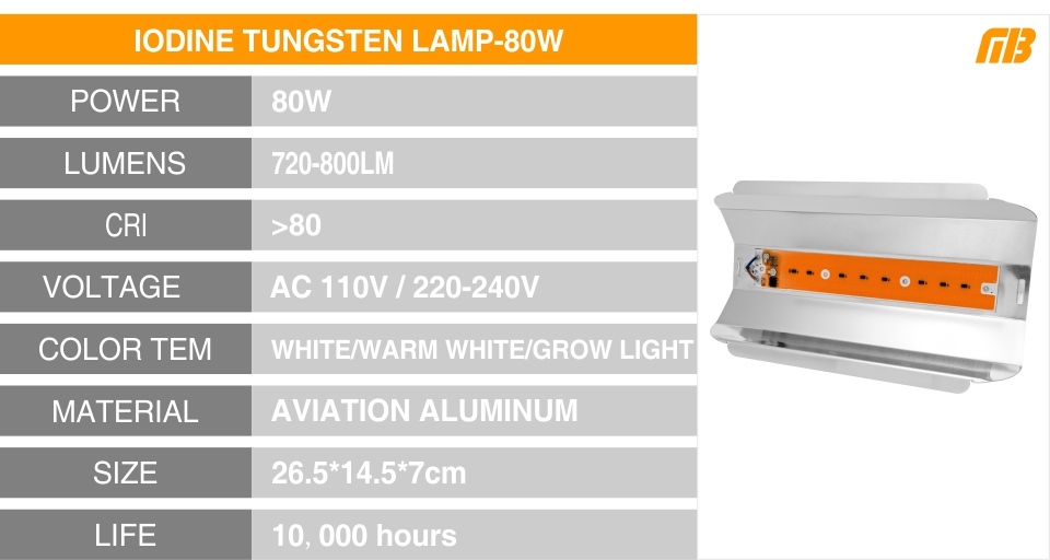 Led Full Spectrum Grow Lamp 380-780nm 30W 50W 80W 100W 220V Outdoor Phyto Light Growth Floodlight For Plant Greenhouse Seeding
