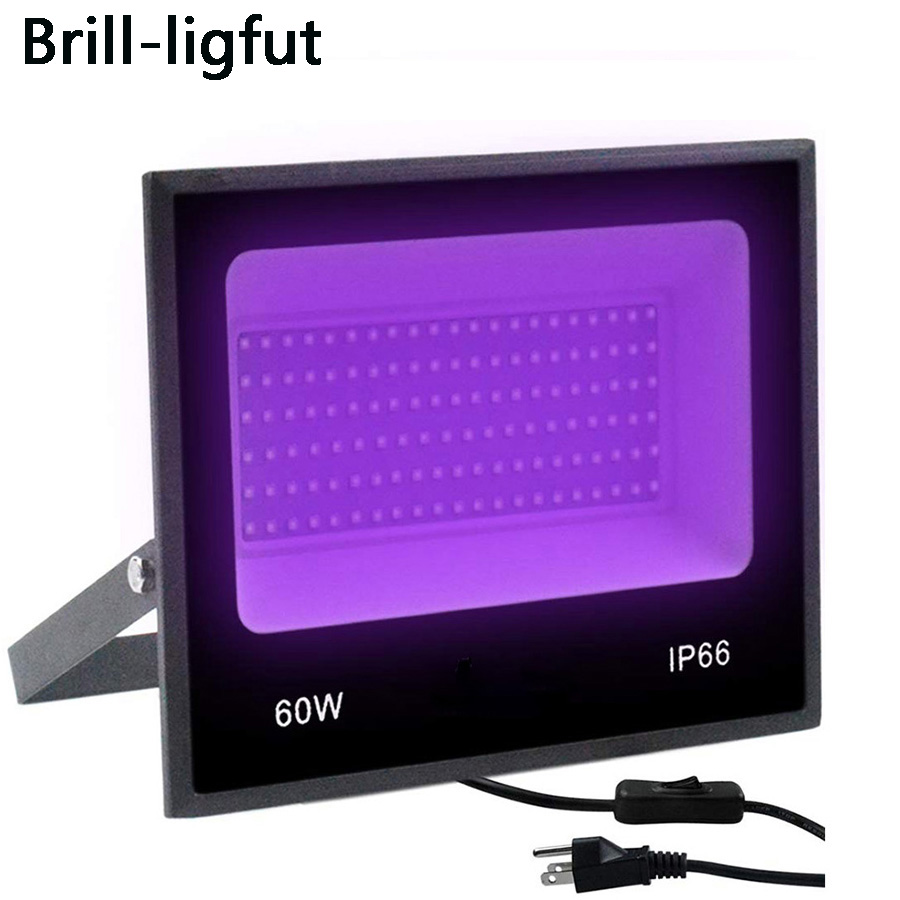 30W 60W AC85-265V UV LED Floodlight IP66 Waterproof Ultra Violet Outdoor Blacklight Stage Light for Halloween Birthday Party