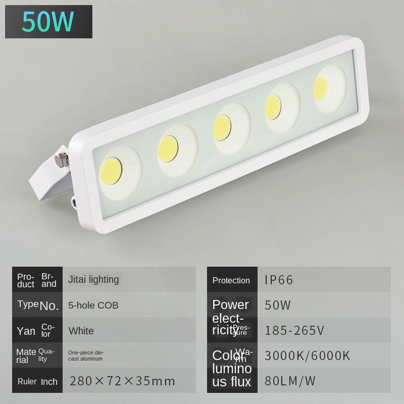 Outdoor waterproof LEDCOB floodlight 50W IP65 LED projector floodlight lawn lamp outdoor lighting garden lawn lamp wall lamp