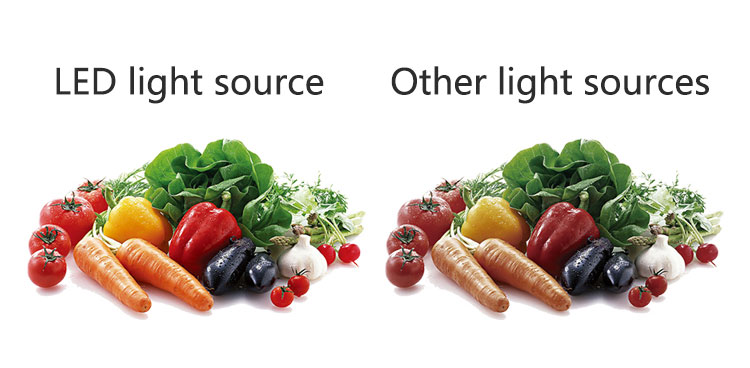 flood light 50W 110V projector ip65 waterproof 220 v led the refletor led exterior lighting garden lamp