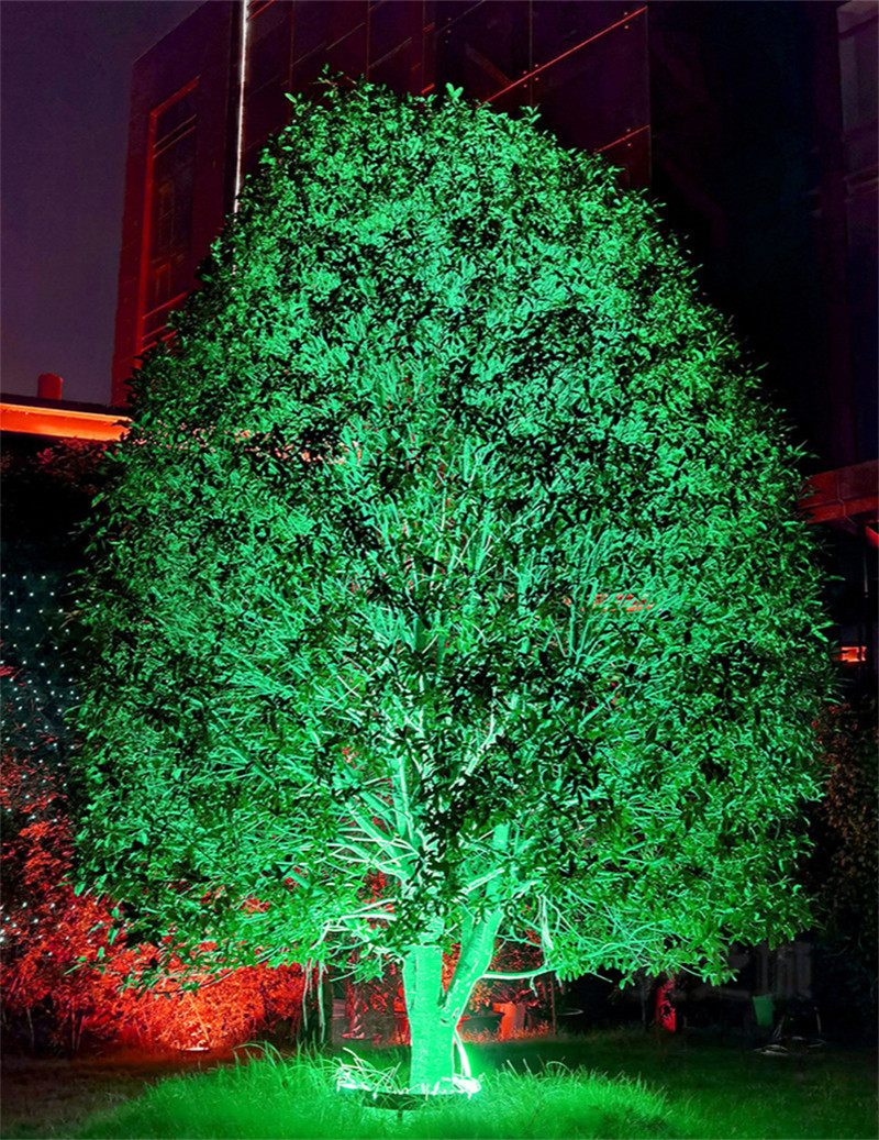 Colorful LED Tree Light Courtyard Villa Landscape Courtyard Lawn Light Floodlight Outdoor Waterproof Landscape Lamp DC24V 60W