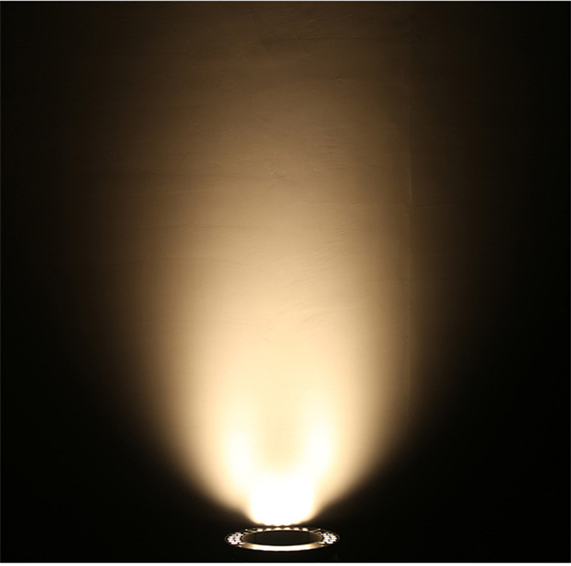 Path City Lighting Park Decoration Christmas Lights Outdoor Waterproof Rainproof Landscape Lighting Tree Lamp 48W DC24V AC220V