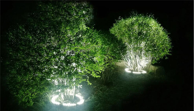 Pillar Lamp Park Outdoor Garden Lighting Landscape Garden Colorful Tree Lights DC24V 48W 60W IP65 Waterproof Lawn Lamp Column