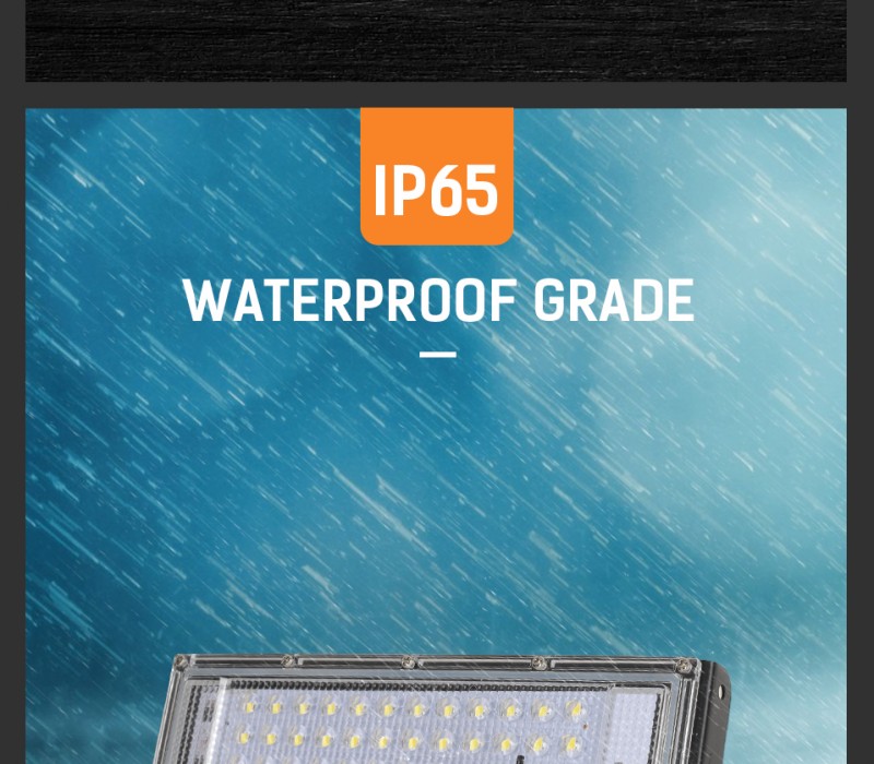 1pc 100W Led Flood Light AC 220V 230V 240V Outdoor Floodlights Spotlight IP65 Waterproof LED Street Lamp Landscape Lighting Plug