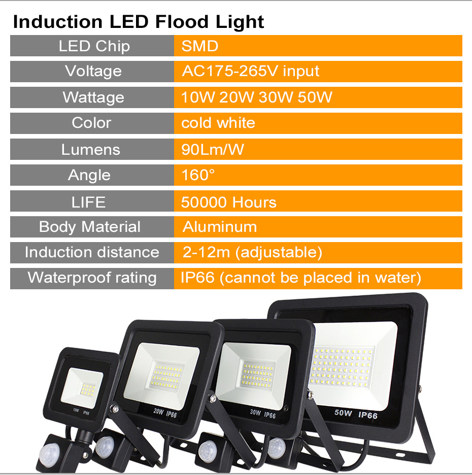 PIR Motion Sensor LED Flood Light Outdoor AC 220V 230V 10W 20W 30W 50W Waterproof Led Spotlight For Garden Wall Street Lamp