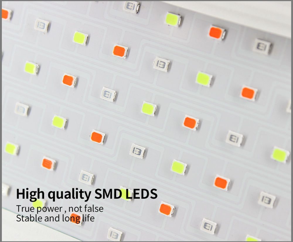 T-SUN 240V 220V 110V Outdoor LED Floodlight 50W/100W RGB FloodLight US/EU/UK Plug LED Spotlight Garden Flood Light Waterproof