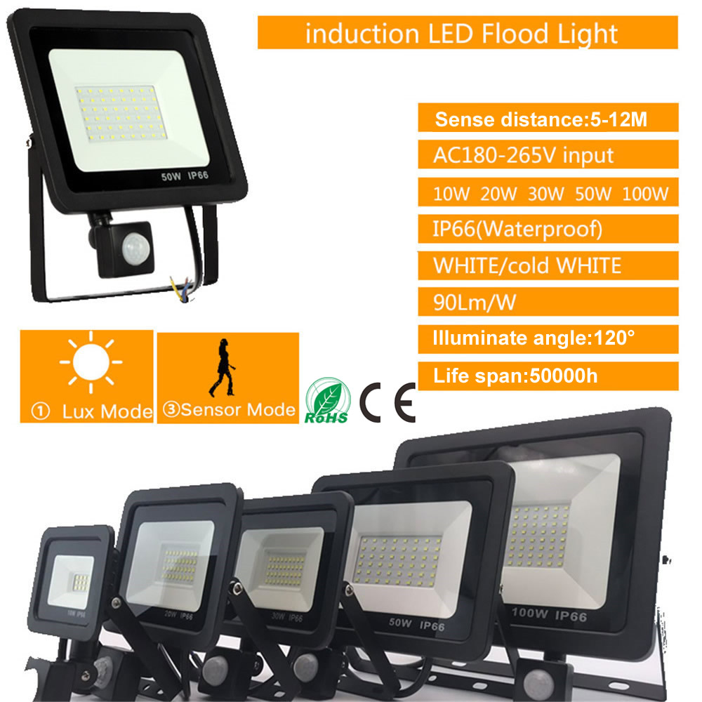 2 pcs 220V 10-100W LED FloodLight Reflector Spotlight outdoor Exterior Street wall Light Outdoor Waterproof Garden Lawn lamp Ene