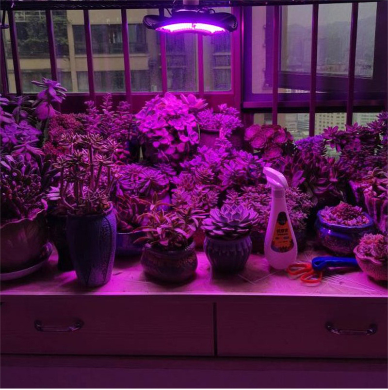10pcs LED Grow COB Chip Phyto Lamp Full Spectrum AC220V 20W 30W 50W For Indoor Plant Seedling Grow and Flower Growth Lighting