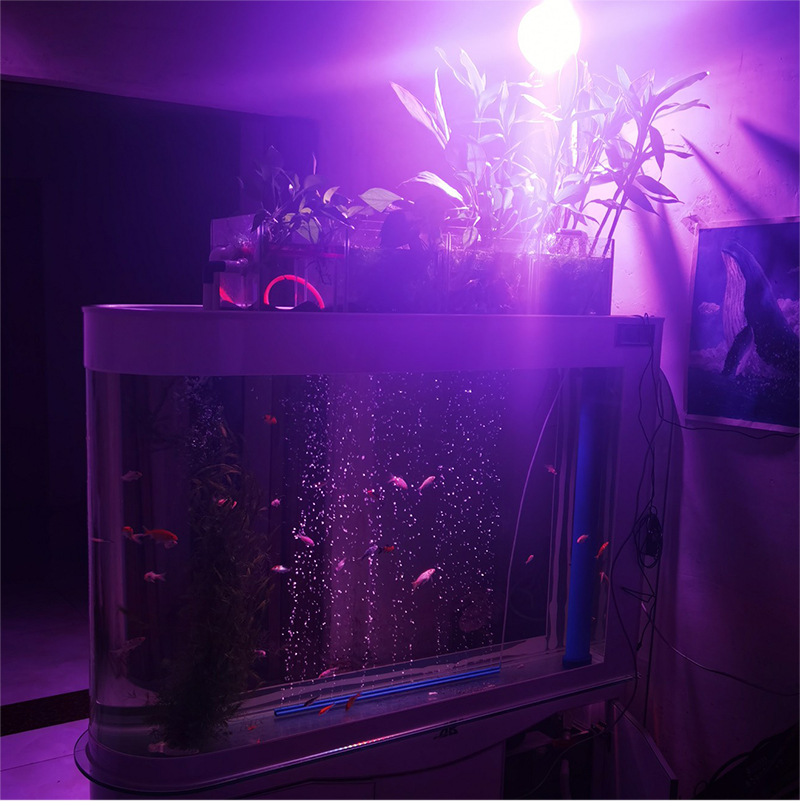 10pcs LED Grow COB Chip Phyto Lamp Full Spectrum AC220V 20W 30W 50W For Indoor Plant Seedling Grow and Flower Growth Lighting