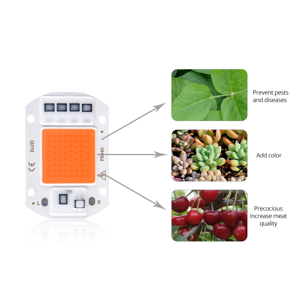 10pcs LED Grow COB Chip Phyto Lamp Full Spectrum AC220V 20W 30W 50W For Indoor Plant Seedling Grow and Flower Growth Lighting