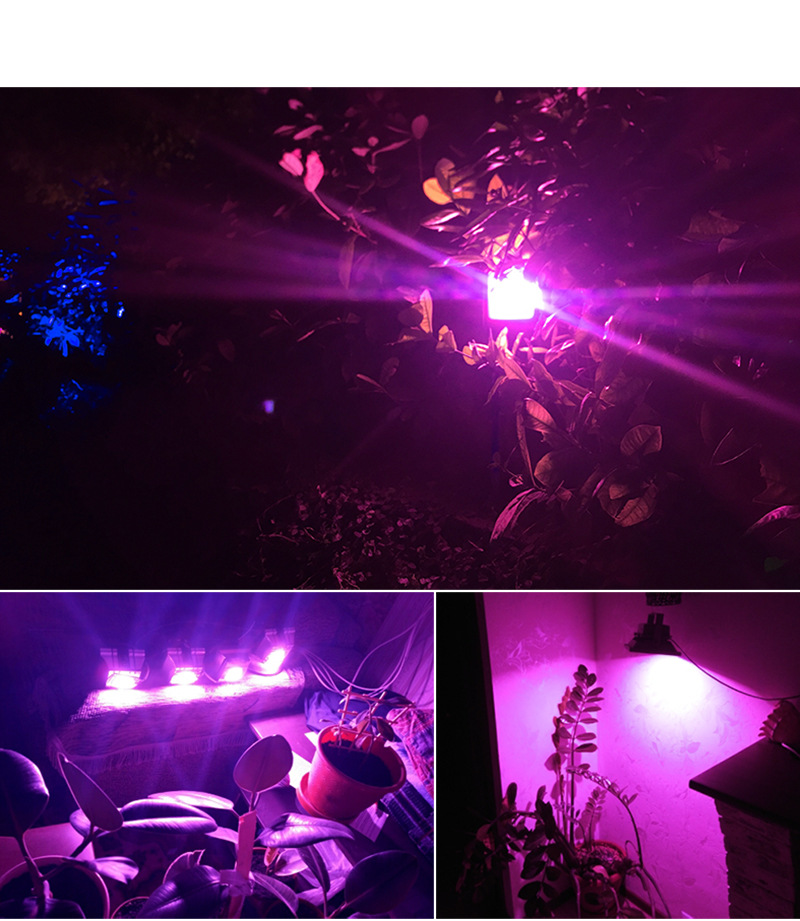 10pcs LED Grow COB Chip Phyto Lamp Full Spectrum AC220V 20W 30W 50W For Indoor Plant Seedling Grow and Flower Growth Lighting
