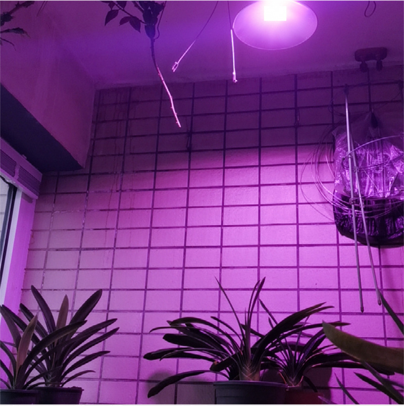 10pcs LED Grow COB Chip Phyto Lamp Full Spectrum AC220V 20W 30W 50W For Indoor Plant Seedling Grow and Flower Growth Lighting