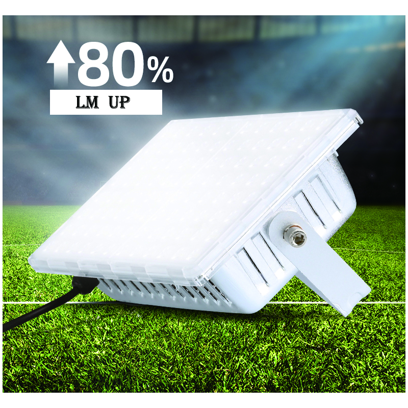 We produce Outdoor LED Swimming Spotlight 50W 100W 200W IP66 Waterproof Lighting 220V Floodlight