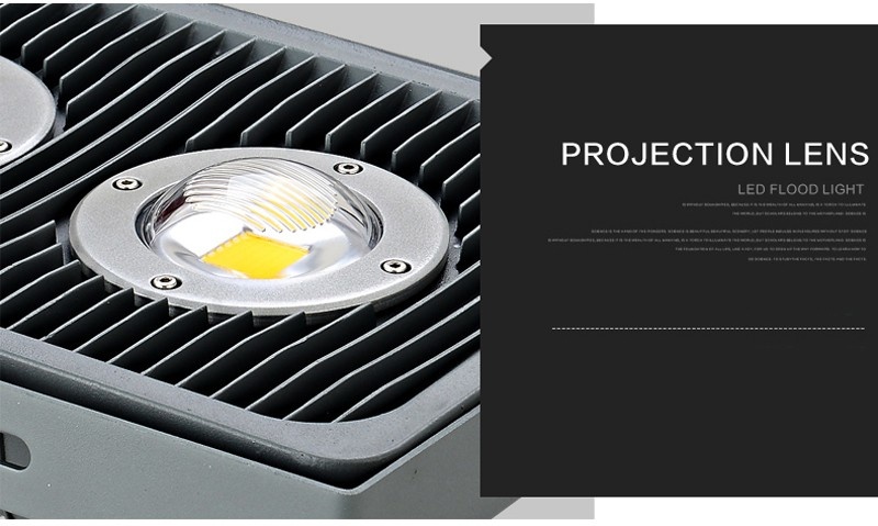 2pcs/lot 30W 50W 100W 150W Refletor Foco LED Exterior Projector 110V 220V Outdoor Security Landscape Wall Spotlight Floodlight