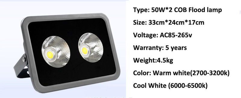 COB Outdoor Lighting LED Colored Floodlight Spotlight Flood Lights 100W 200W 300W 400W 500W 600W RGB Cold White Garden Light