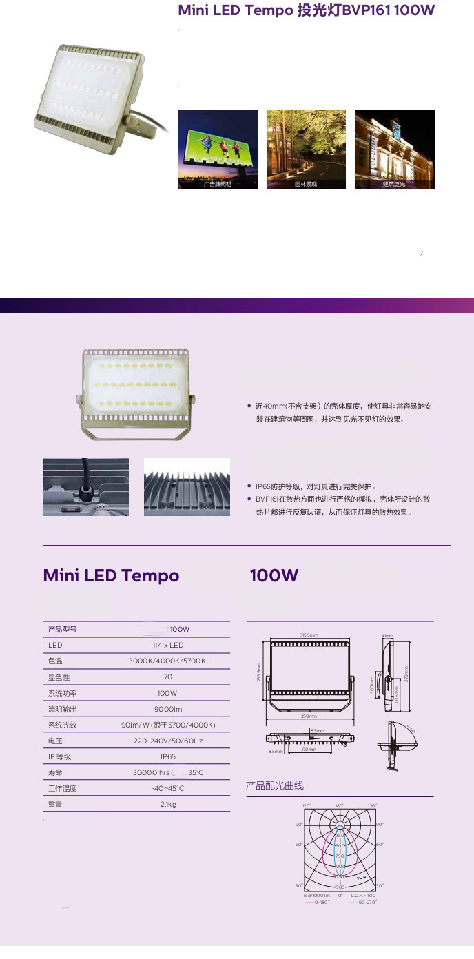 10pcs/lot 30W 50W 70W 100W AC85-265V LED Floodlight Ultra Thin LED Flood Light Spotlight Floodlights Reflector Outdoor 220V IP66