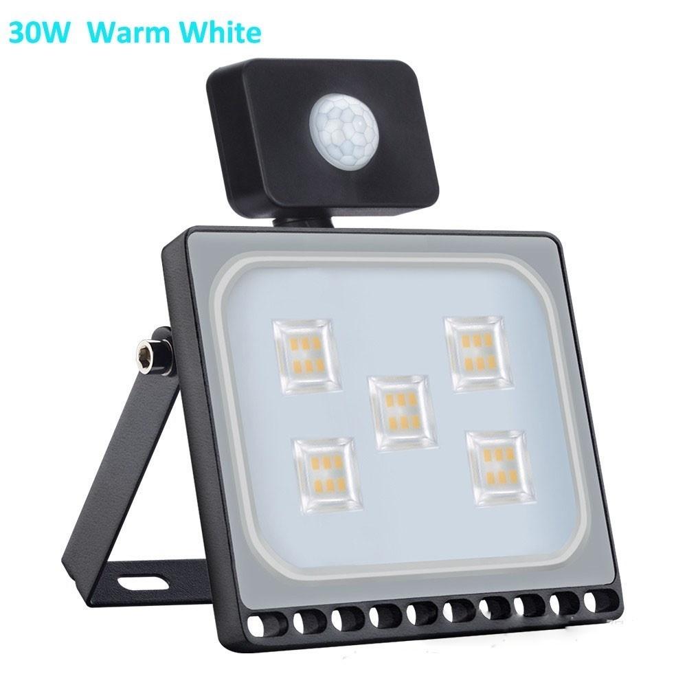 10W 30W 50W 100W LED Flood Light With Motion Sensor Waterproof AC 220V PIR LED Floodlight Outdoor Projector Lamp Spotlight